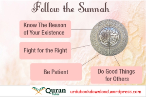 3 Follow-the-sunnah copy
